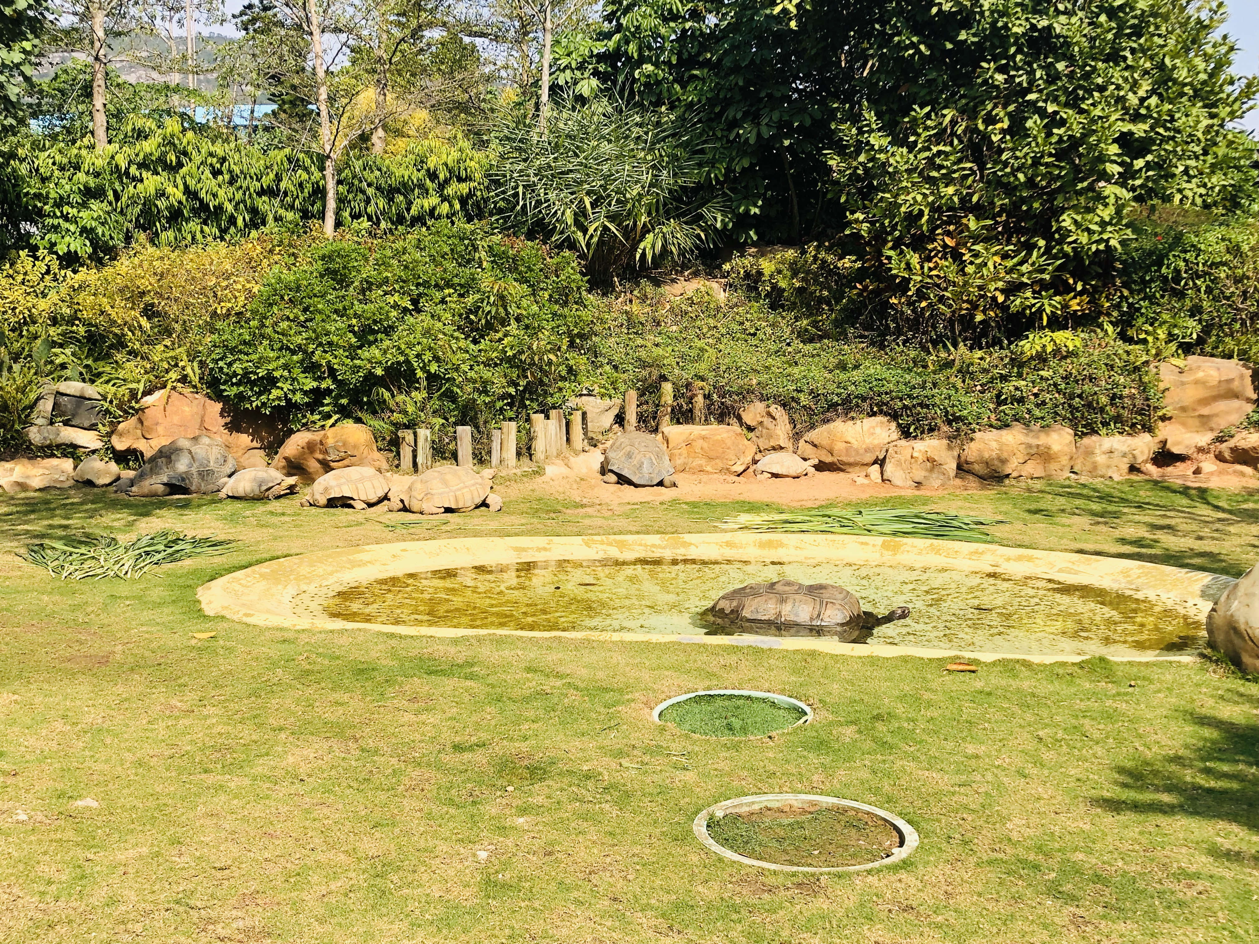 寒假带孩子去长隆玩什么,长隆寒假旅游攻略