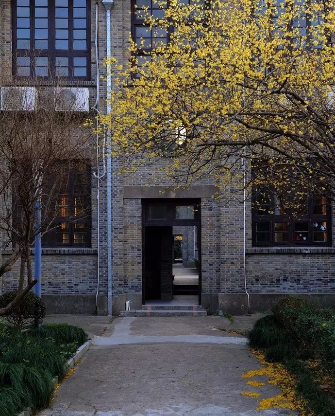 上海松江二中特色,上海市松江二中校园风光