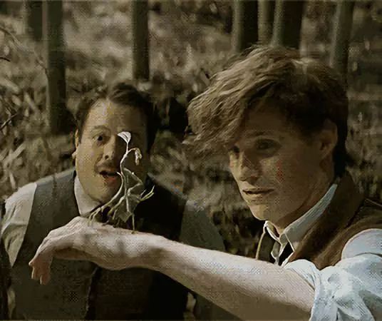 所谓哈迷的狂欢不过是失望之极下的*慰自**｜影评