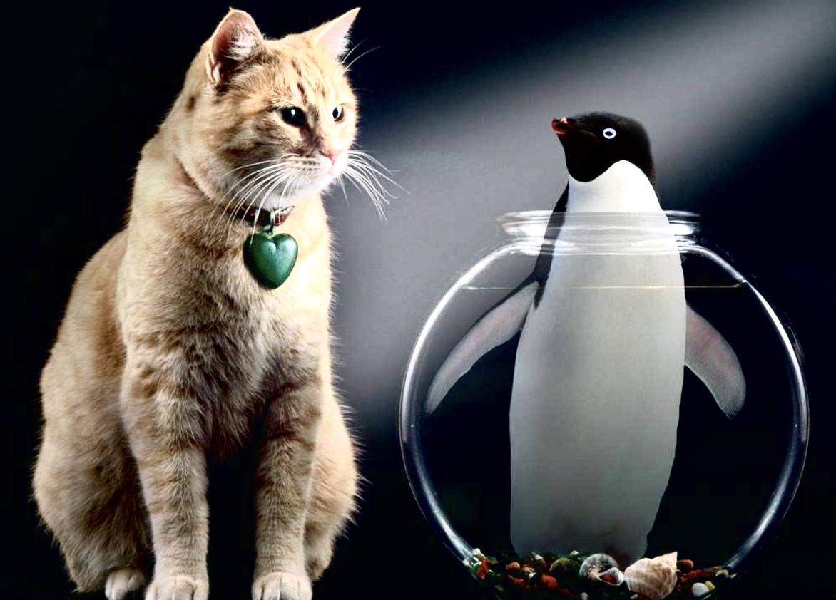 qq被冻结了有没有事,为什么一觉醒来发现qq被冻结了