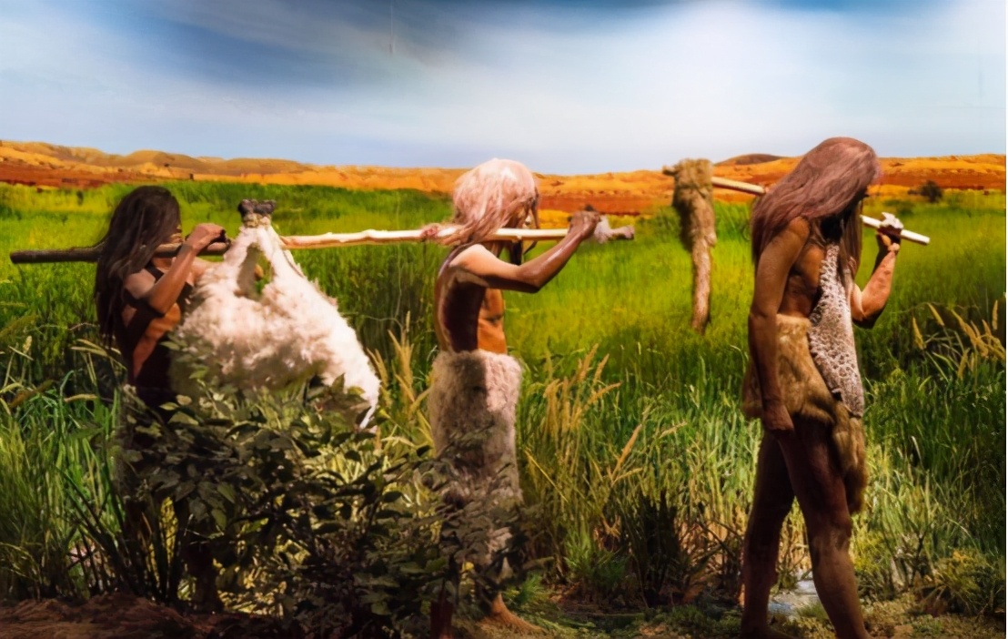 最大人类粪便化石,迄今为止人类发现最大的生物体