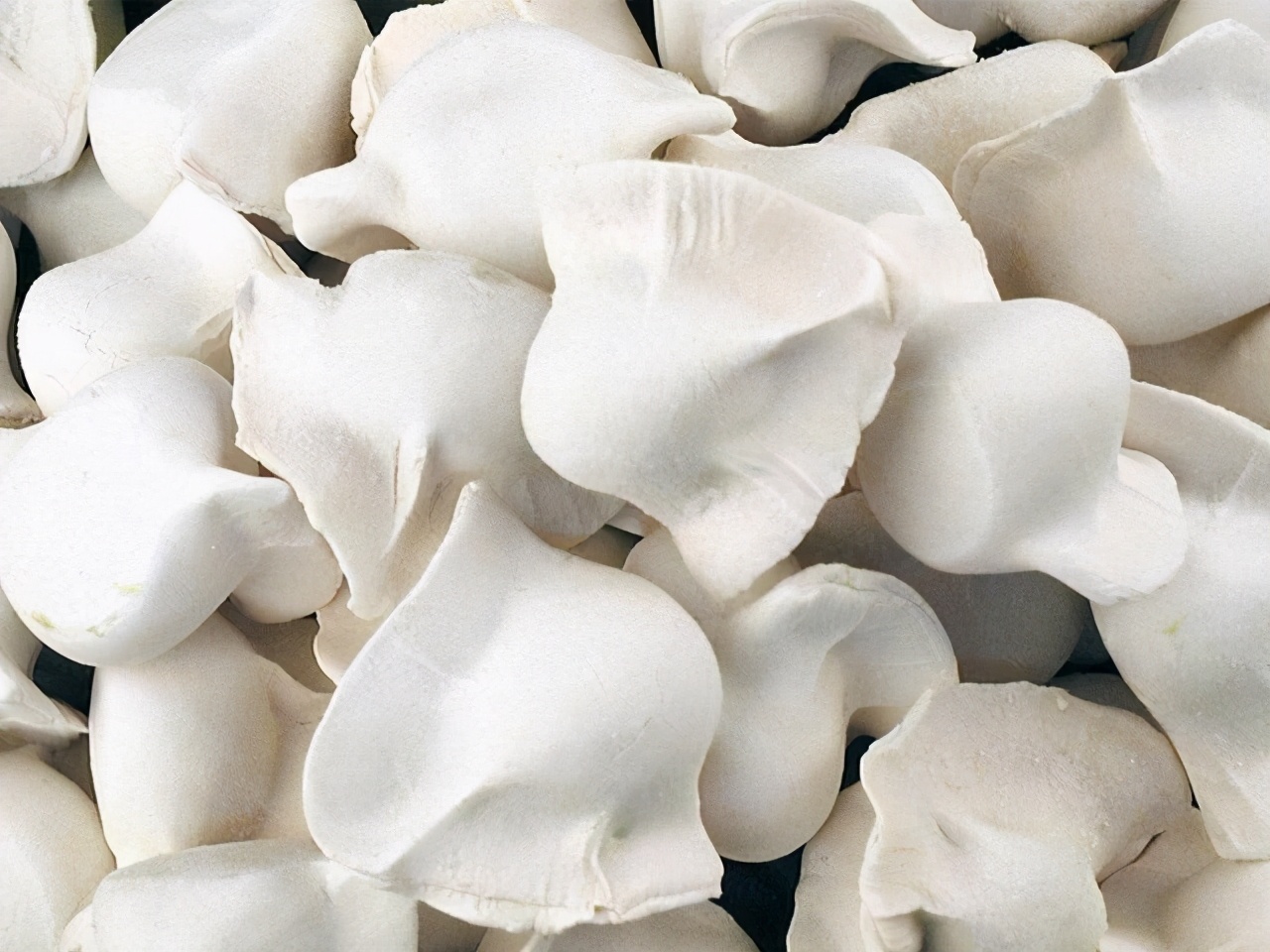 速冻水饺买什么牌子好吃,速冻水饺哪个牌子的好吃