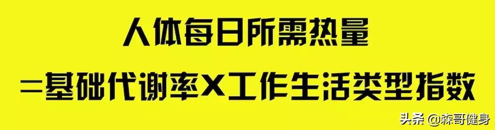 森哥减肥健身视频,森哥教你减肥