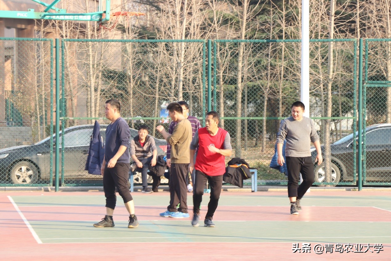 介绍青岛农业大学,令人心动的青岛