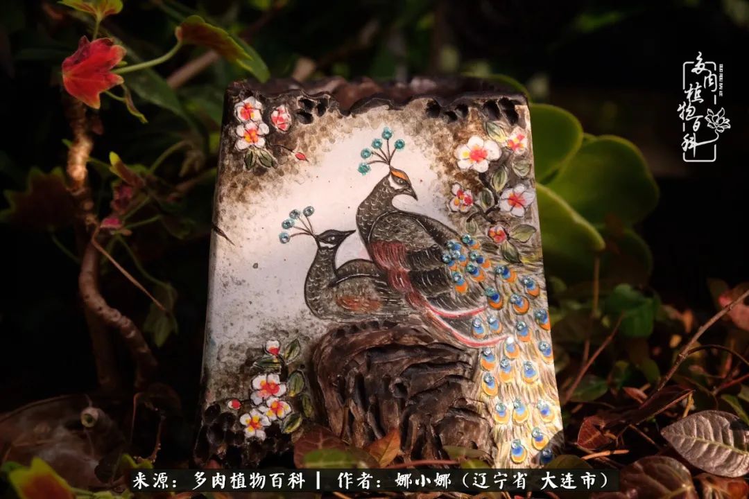 你是盆我是花，你护我周全，我为你绽放