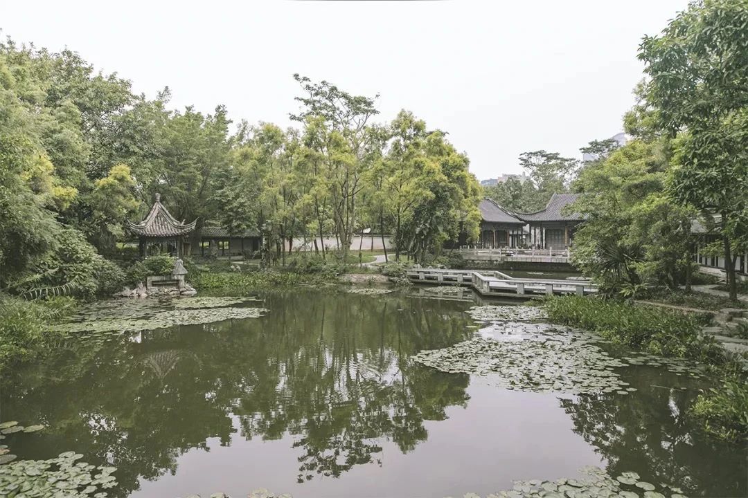 深圳龙华适合小孩子玩的免费景点,深圳适合一日游好玩的地方推荐