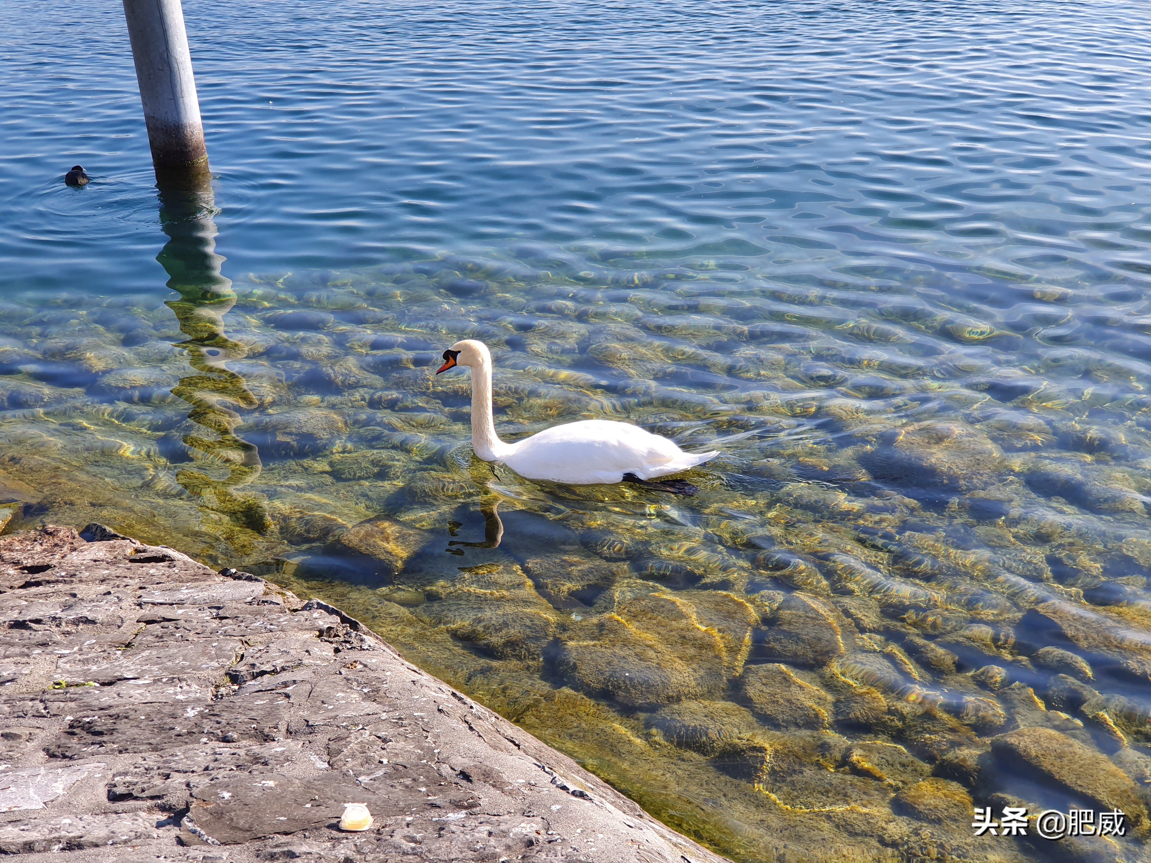 三星galaxys10对比三星galaxys10,三星galaxys10+测评王者荣耀