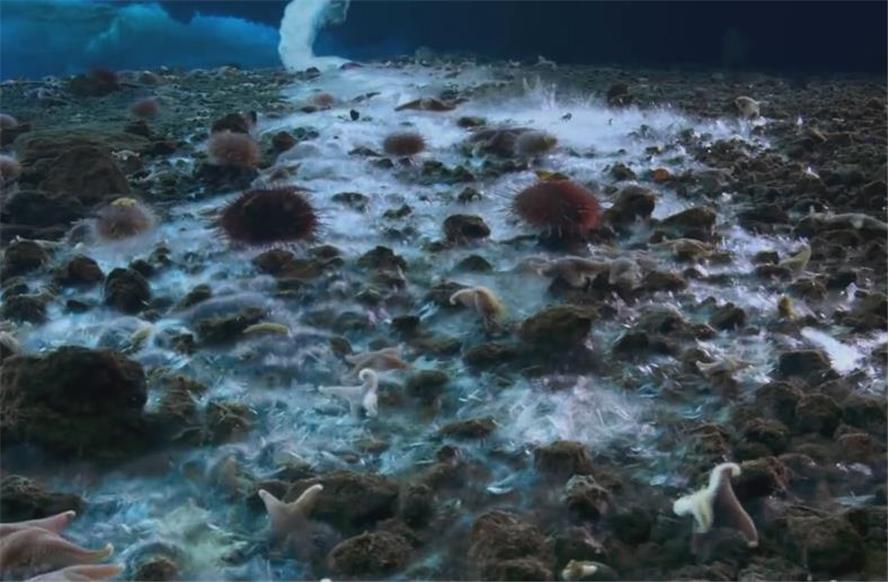 南极最吓人的冰柱,奇特的南极死亡冰柱