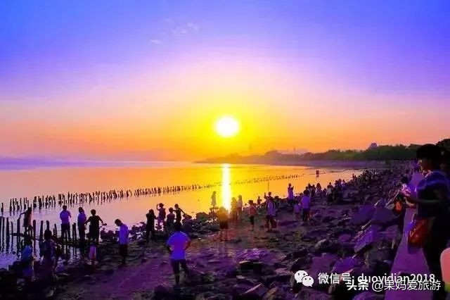 深圳旅游必去五大景点旅游攻略,深圳旅游必去的景点自由行