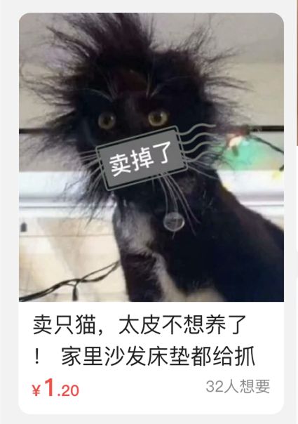 闲鱼卖神兽系列,闲鱼卖神兽的视频