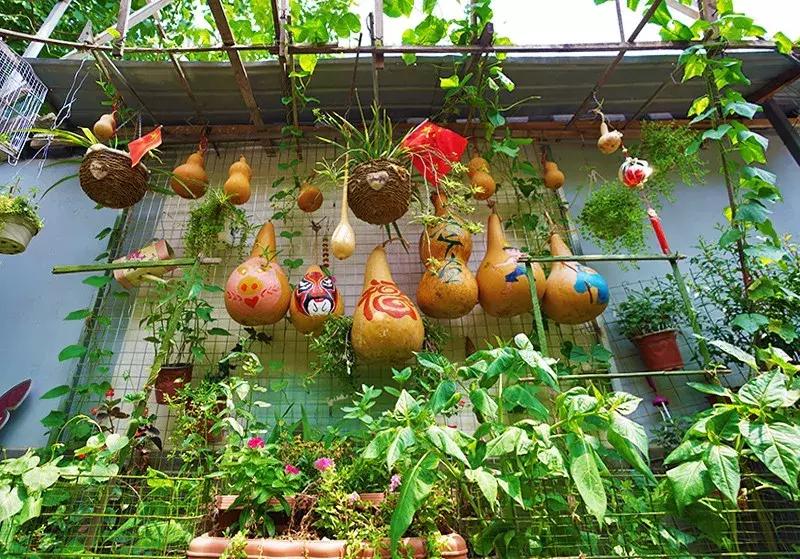 胡同里的日常生活,胡同里的北京生活