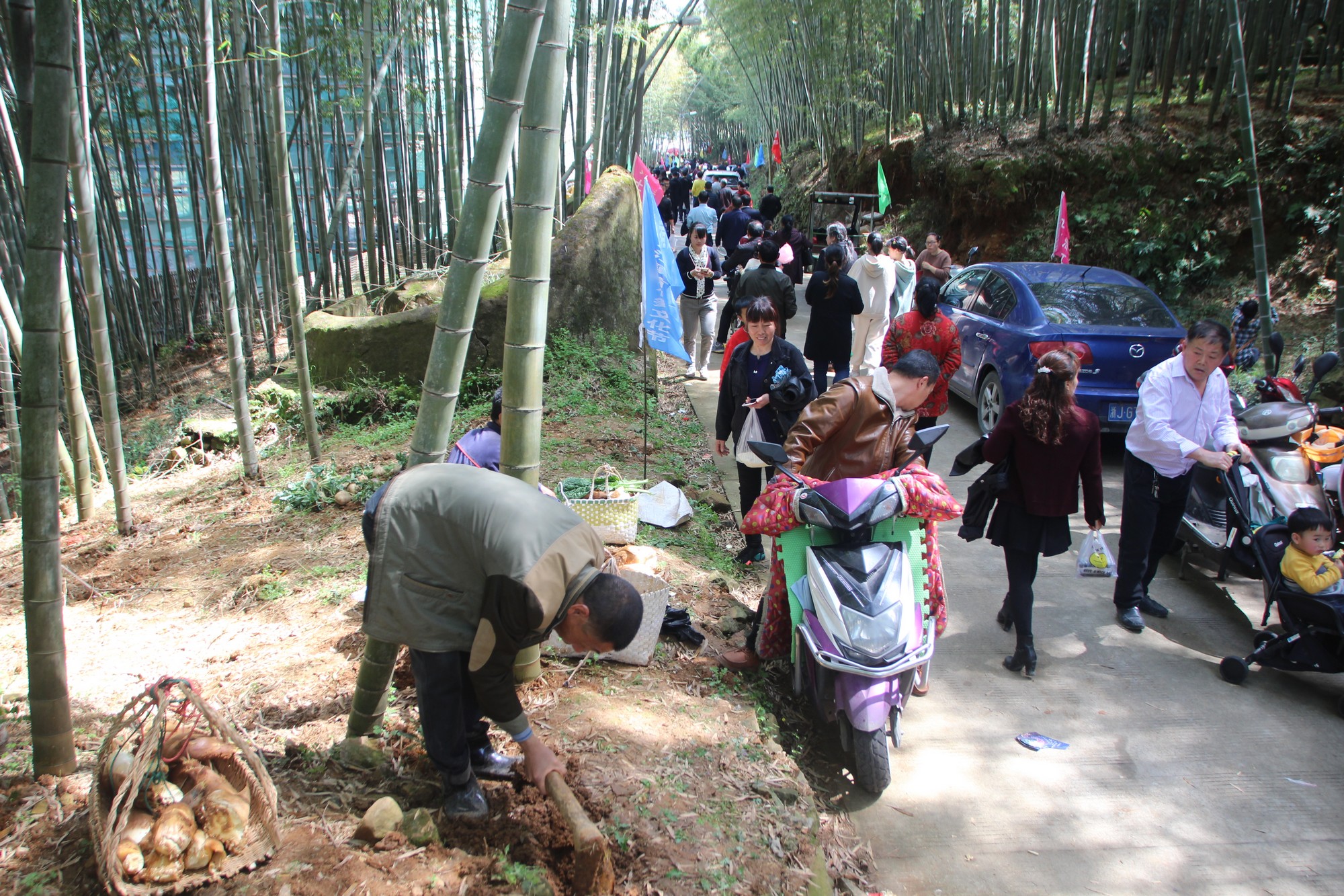 临海黄土山竹笋,浙江竹笋哪里最好