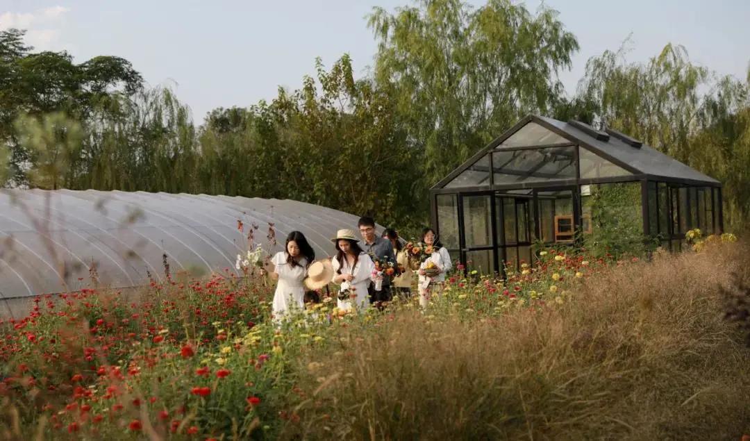 最会说情话的人全集,最会说情话的人