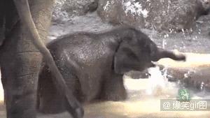 他们被杀之后，依然在爱你