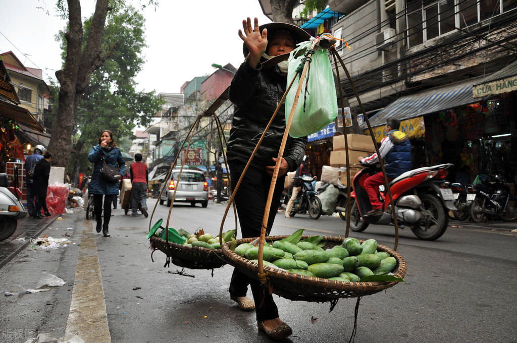 柳木菜墩和榆木菜墩,柳木菜墩和枫木菜墩