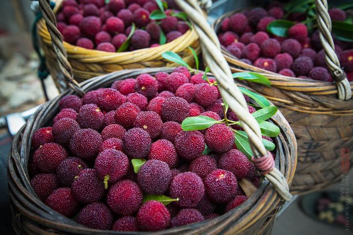 杨梅泡了酒还可以做杨梅干吗,怎么洗杨梅干杨梅更好吃呢