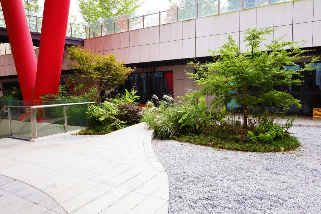 沪上“花园式”工地办公是怎样的体验?来看看这个白玉兰奖工程吧