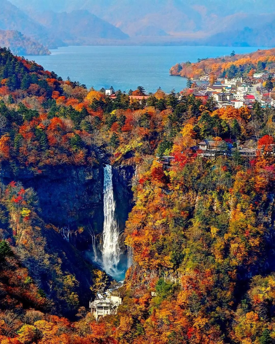 做个‘追枫少女’领略红叶之美！