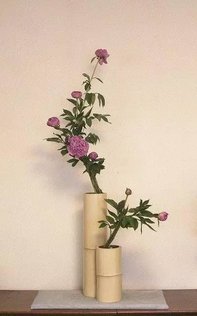 教你怎么学插花,小白零基础怎么学插花