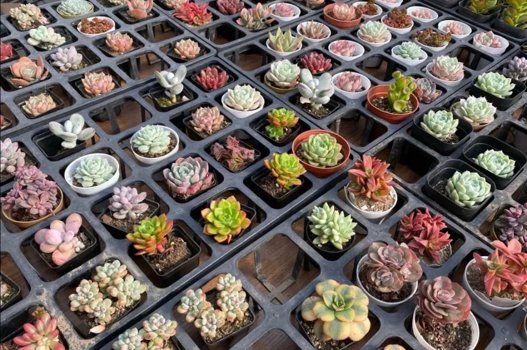 西安批发市场大全,西安最全批发市场地址