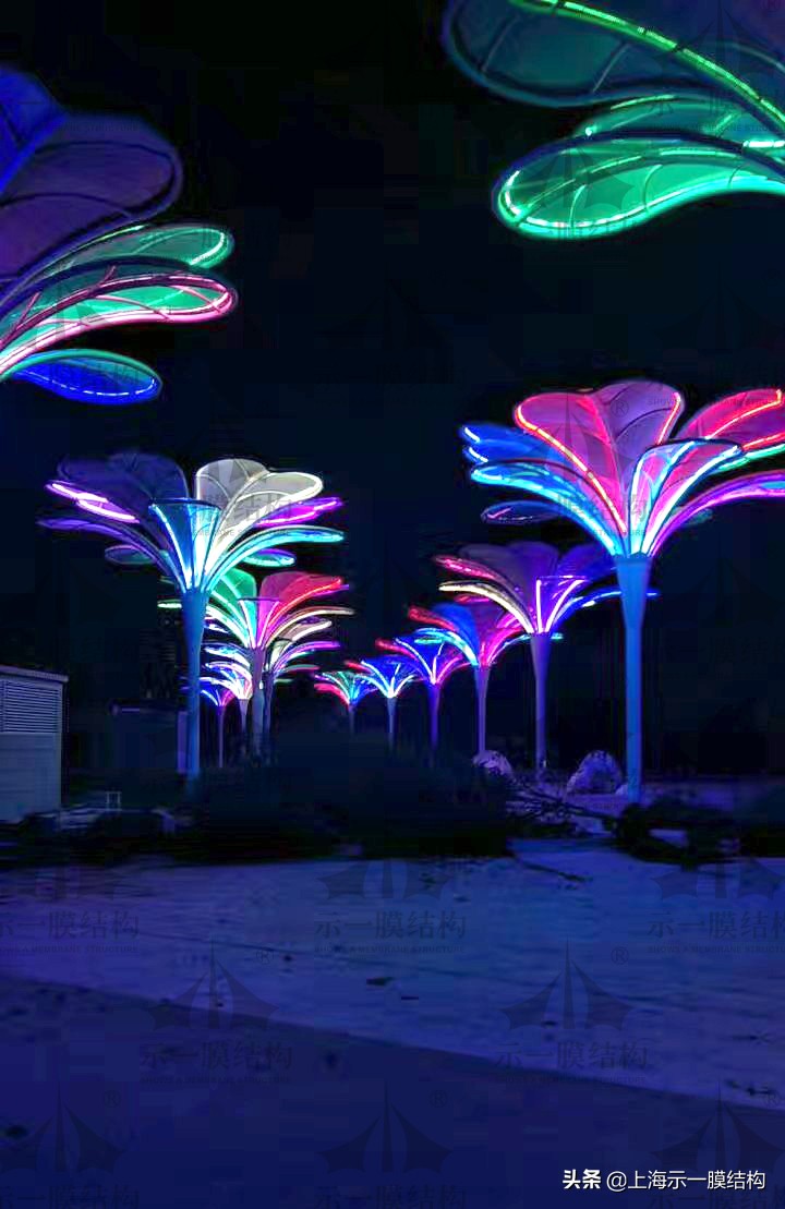 展开说说出自哪里,展开说说内容