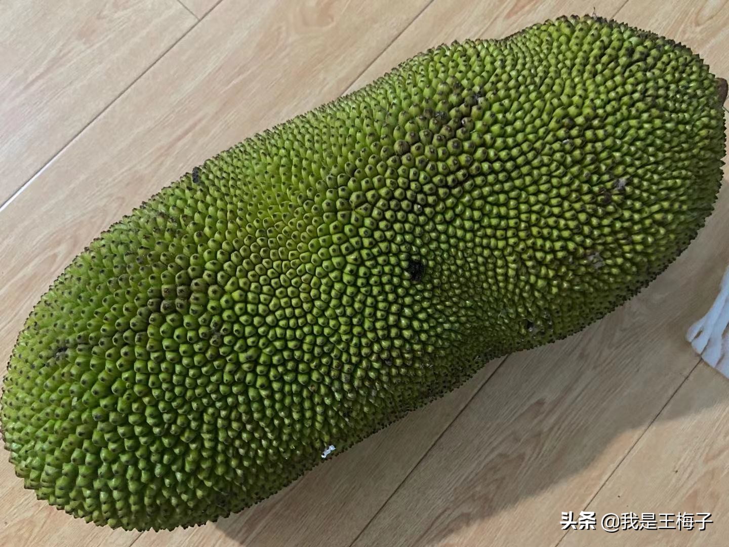 北方人有没有见过菠萝蜜,菠萝蜜北方人不喜欢吃吗