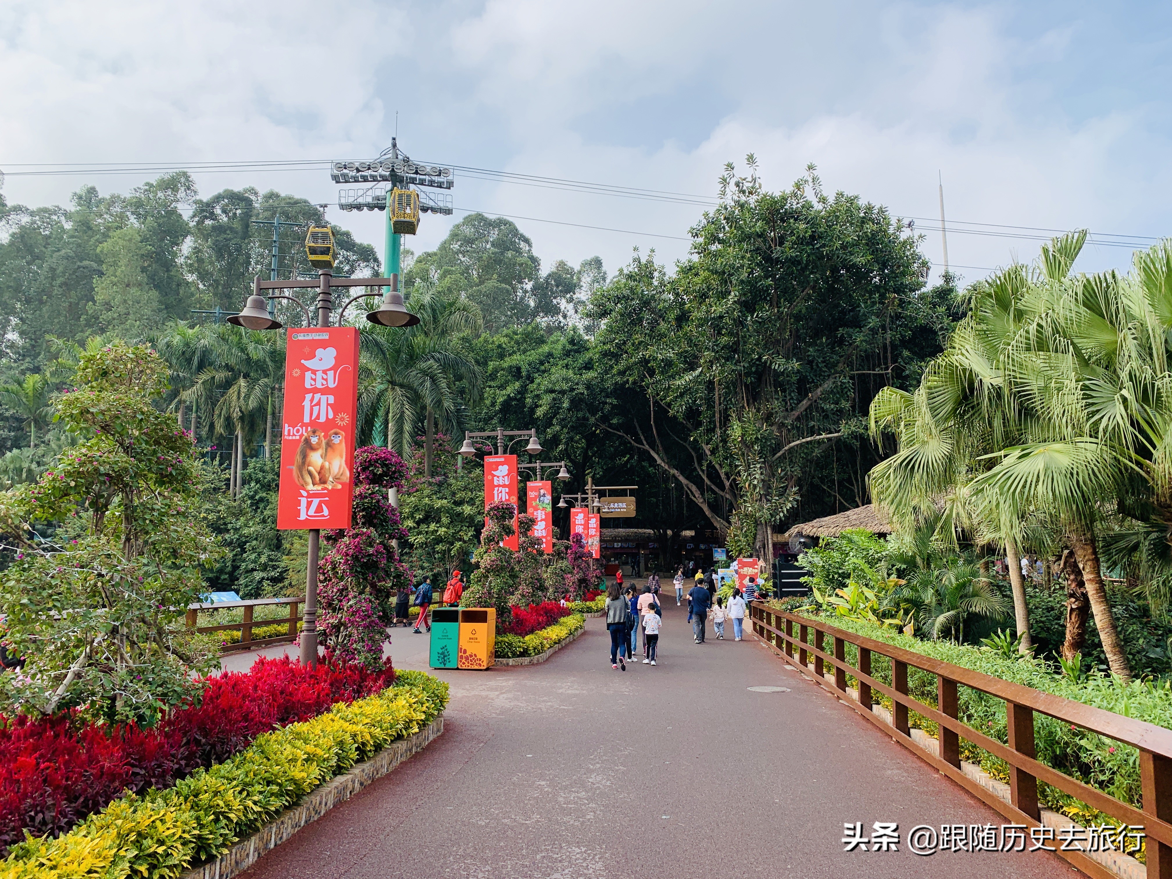 广州长隆动物园大熊猫门票多少钱,广州长隆水动物世界看大熊猫攻略