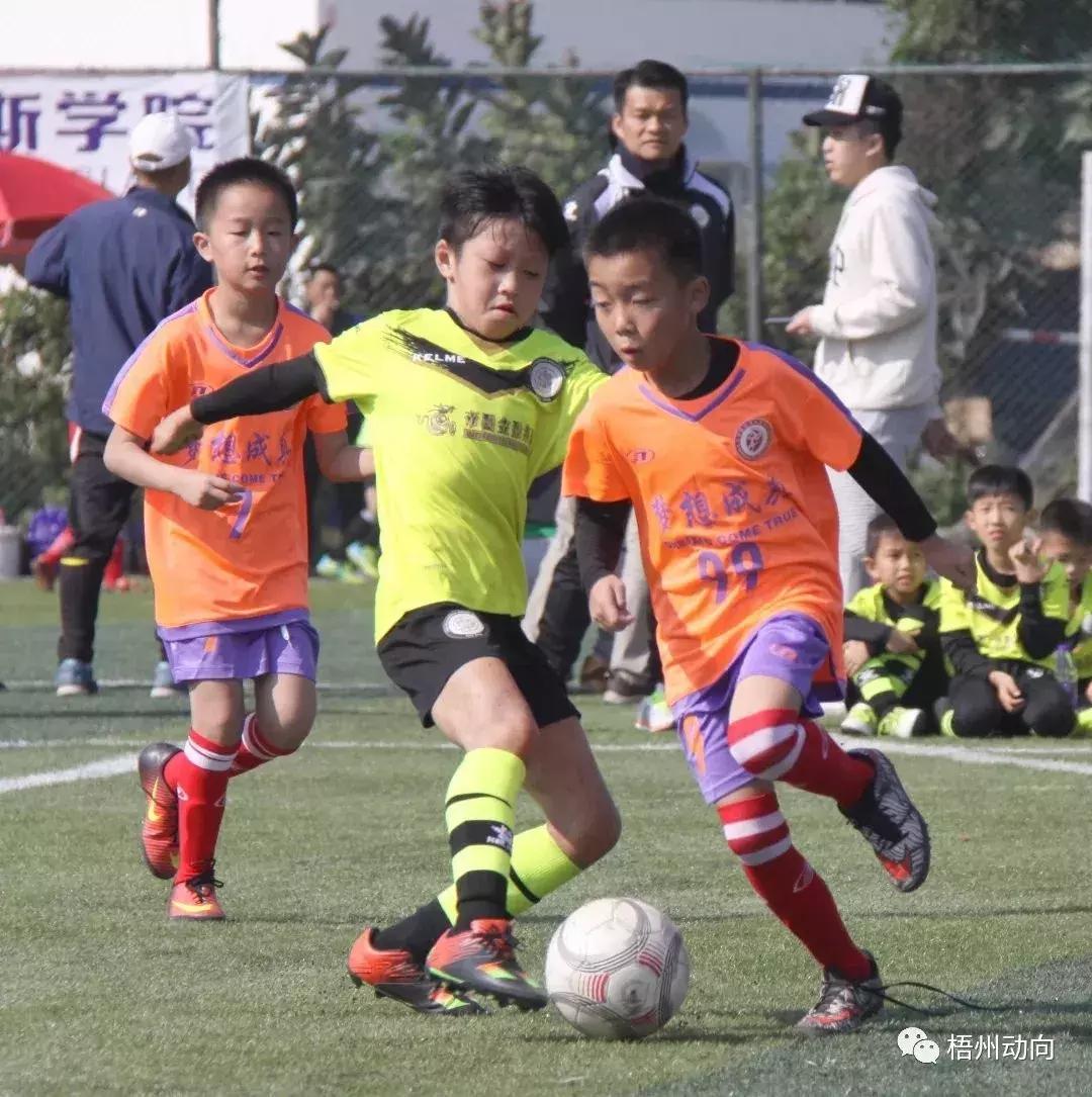 足球训练营公益,足球训练公益项目