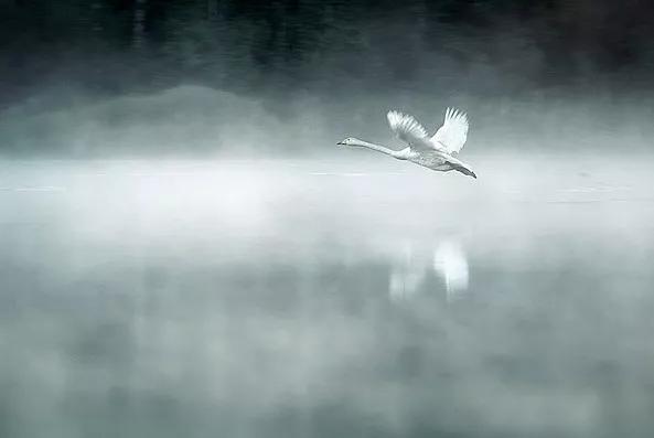 老子上善与不争的关系,老子道德经人贵在自知