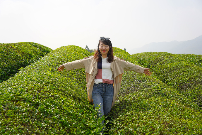 景德镇茶之源瓷之都,景德镇浮梁茶文化