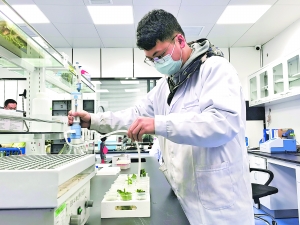 贵阳第六届迎春年货节,贵阳市文化旅游年货节