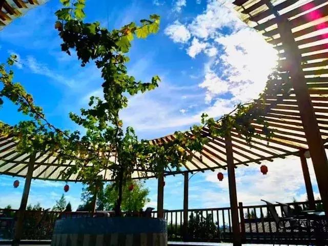 3天揽金3.04亿元！通江吸引近40万人！到底有啥厉害？