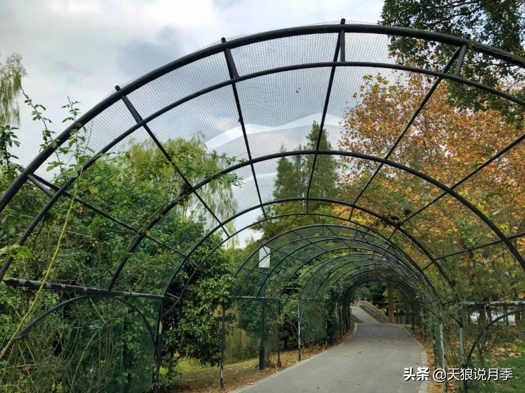 天狼团队最新视频,天狼团队所有视频