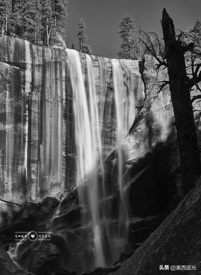 美国优山美地国家公园红杉树,美国优山美地国家公园攻略