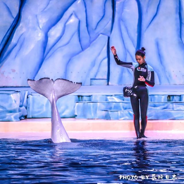 来珠海旅游必打卡的景点,春节珠海亲子游玩地方推荐