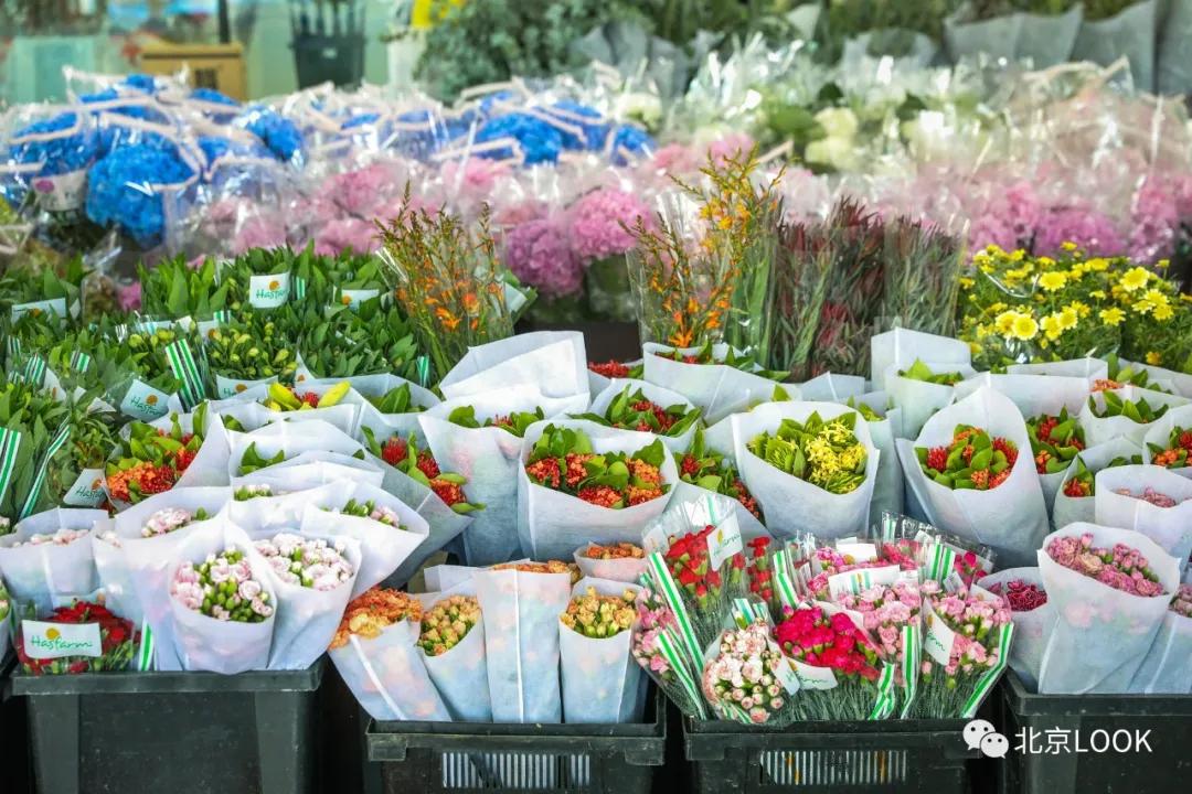 最便宜的北京花市,北京超好逛的花市