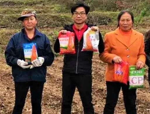 正大种业有哪几个,正大种业县级代理商