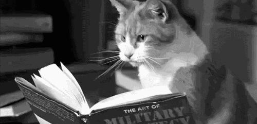 运动员的高能瞬间,运动员的高光时刻不回头