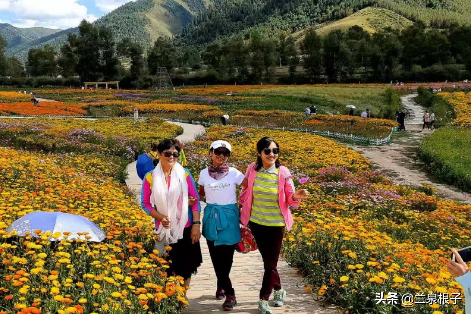 夏河县达尔宗湖景区电话,夏河县达尔宗湖游玩攻略