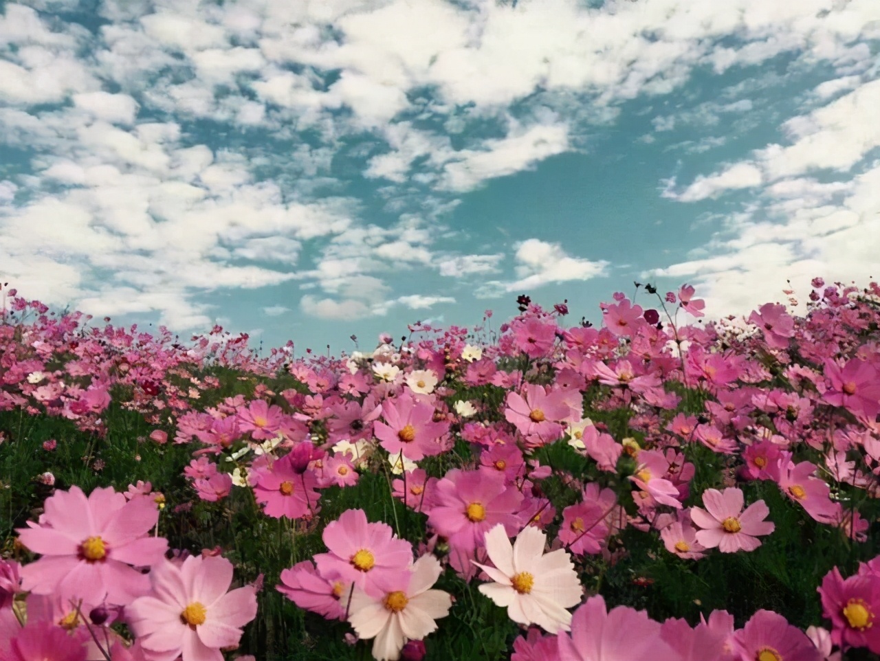 哲人哲思哲文:美女战友高丽华的《90%准则,缺陷与完美的平衡》