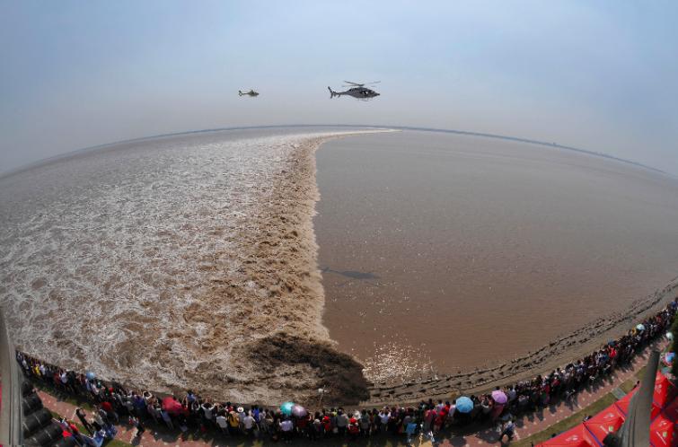 白居易最经典诗句,白居易的最美十首诗