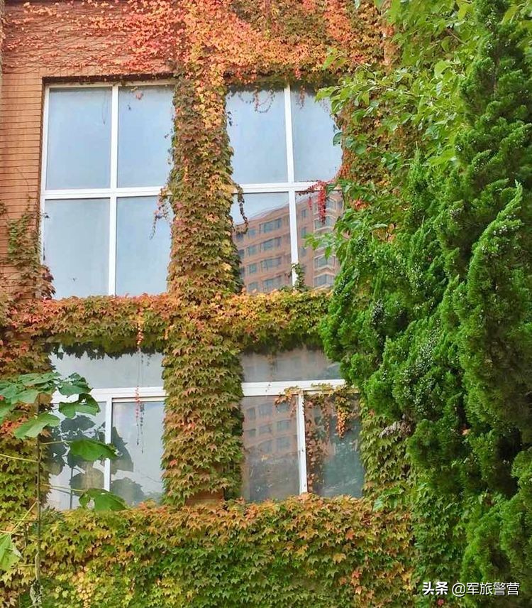 大连八七疗养院战友,大连市八七疗养院的故事