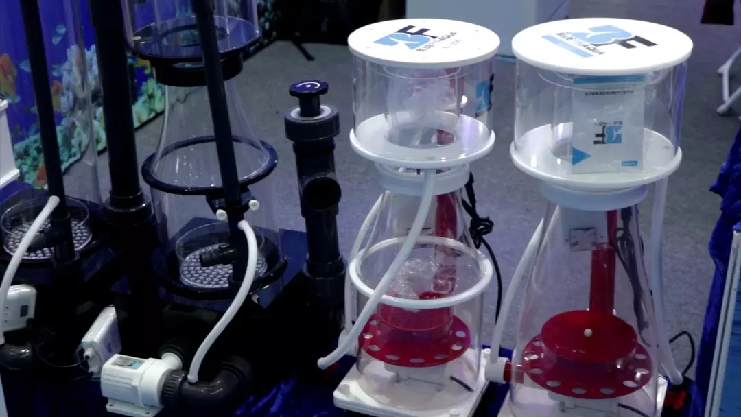 海精灵带你第一时间零距离感受2020海博会盛况