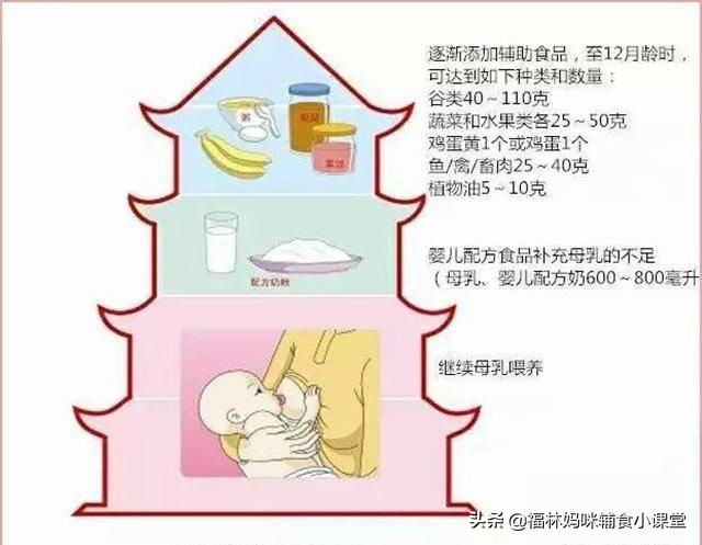 11个月宝宝牛肉怎么吃好,猪肝和牛肉哪个补铁效果好