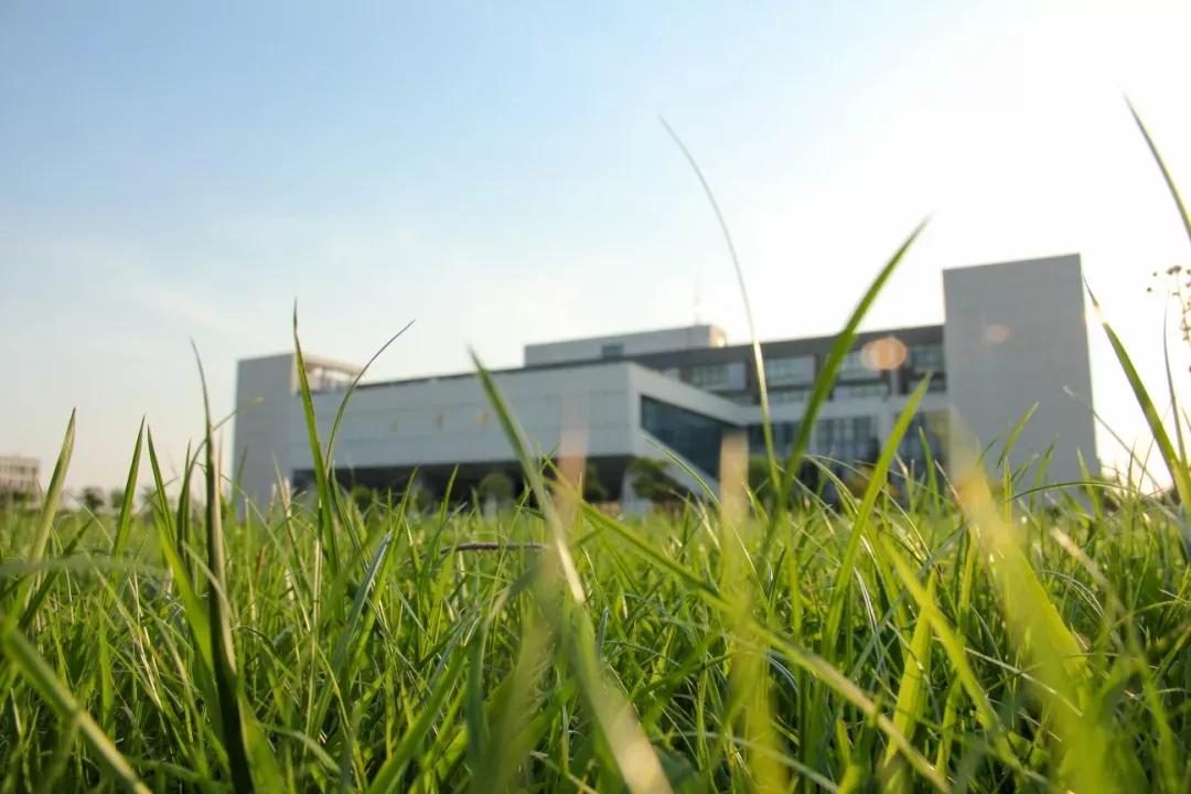 江苏省高校（九）扬州大学