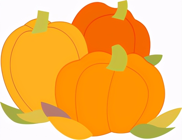 音体美加入中考吗,音体美纳入中考都考什么