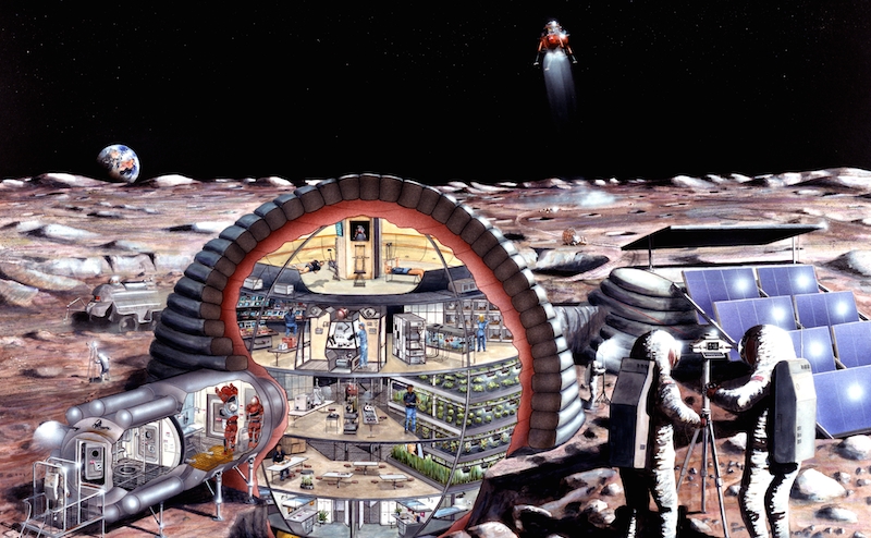 马斯克的sn8,马斯克星舰sn8直播