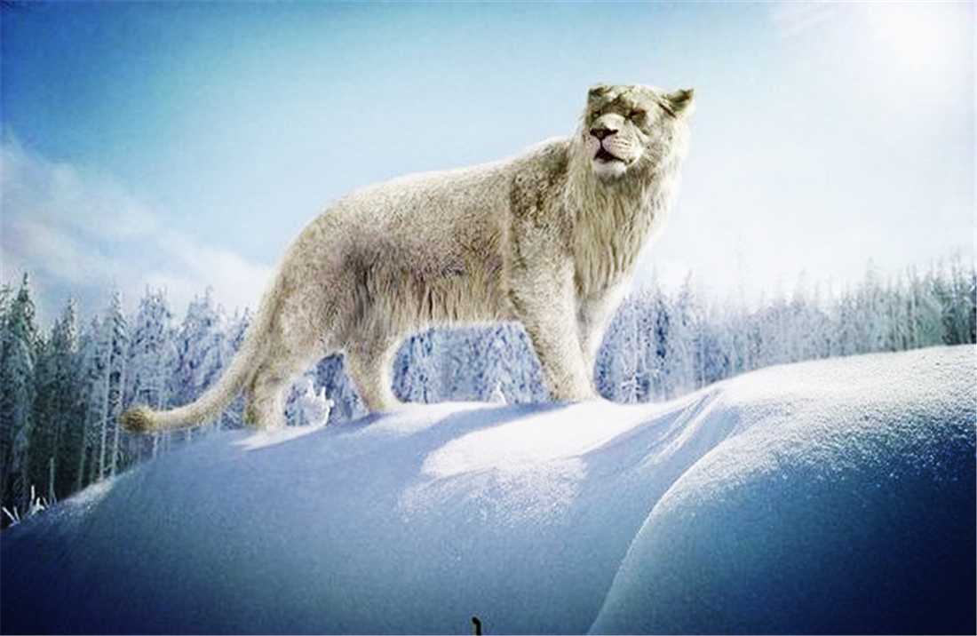 残暴狮母狮,残暴狮打得过原始狮吗