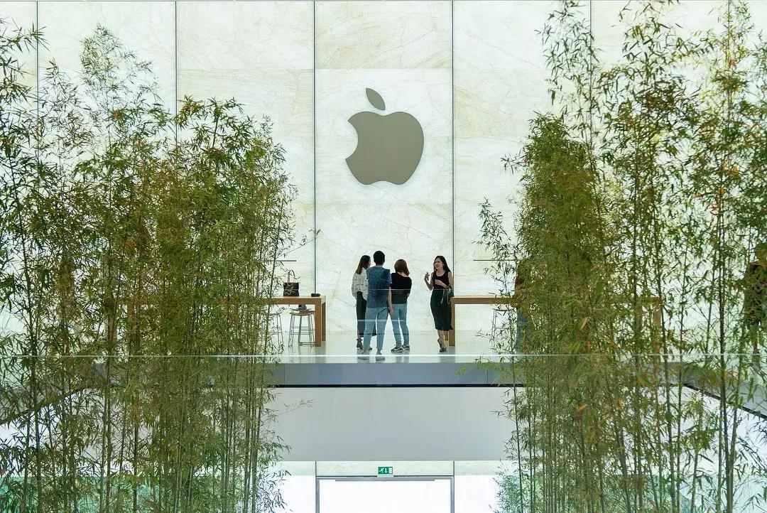 澳门玩乐攻略7天,澳门玩全指南书籍