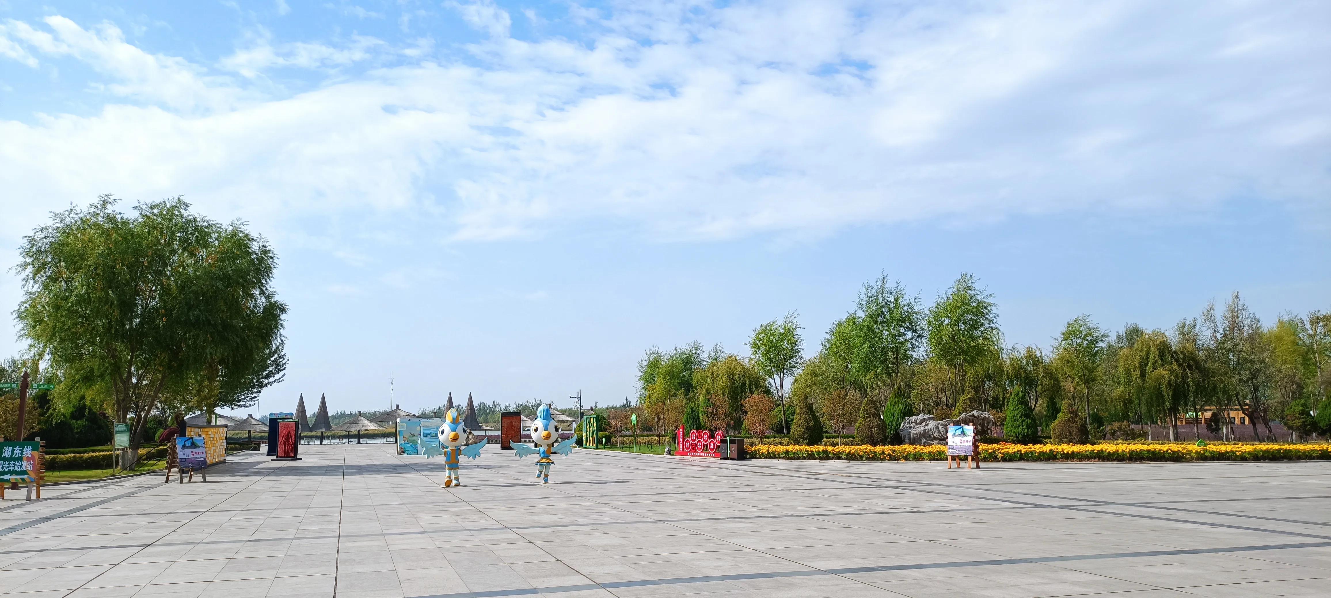 共享打印机无法连接怎么回事,打印机共享连接成功却无法打印